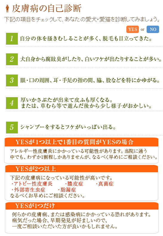 hifu_b
