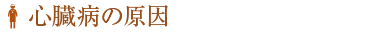 sinzou_stit2